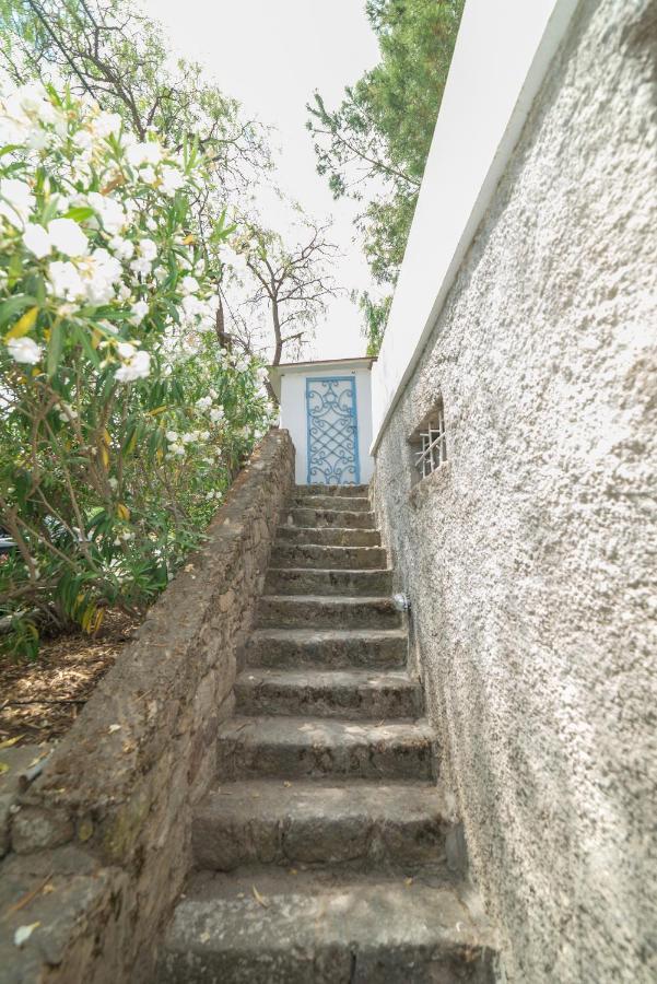 Panorama Hotel Bodrum Golturkbuku Zewnętrze zdjęcie