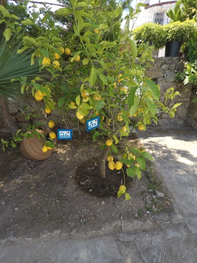 Panorama Hotel Bodrum Golturkbuku Zewnętrze zdjęcie